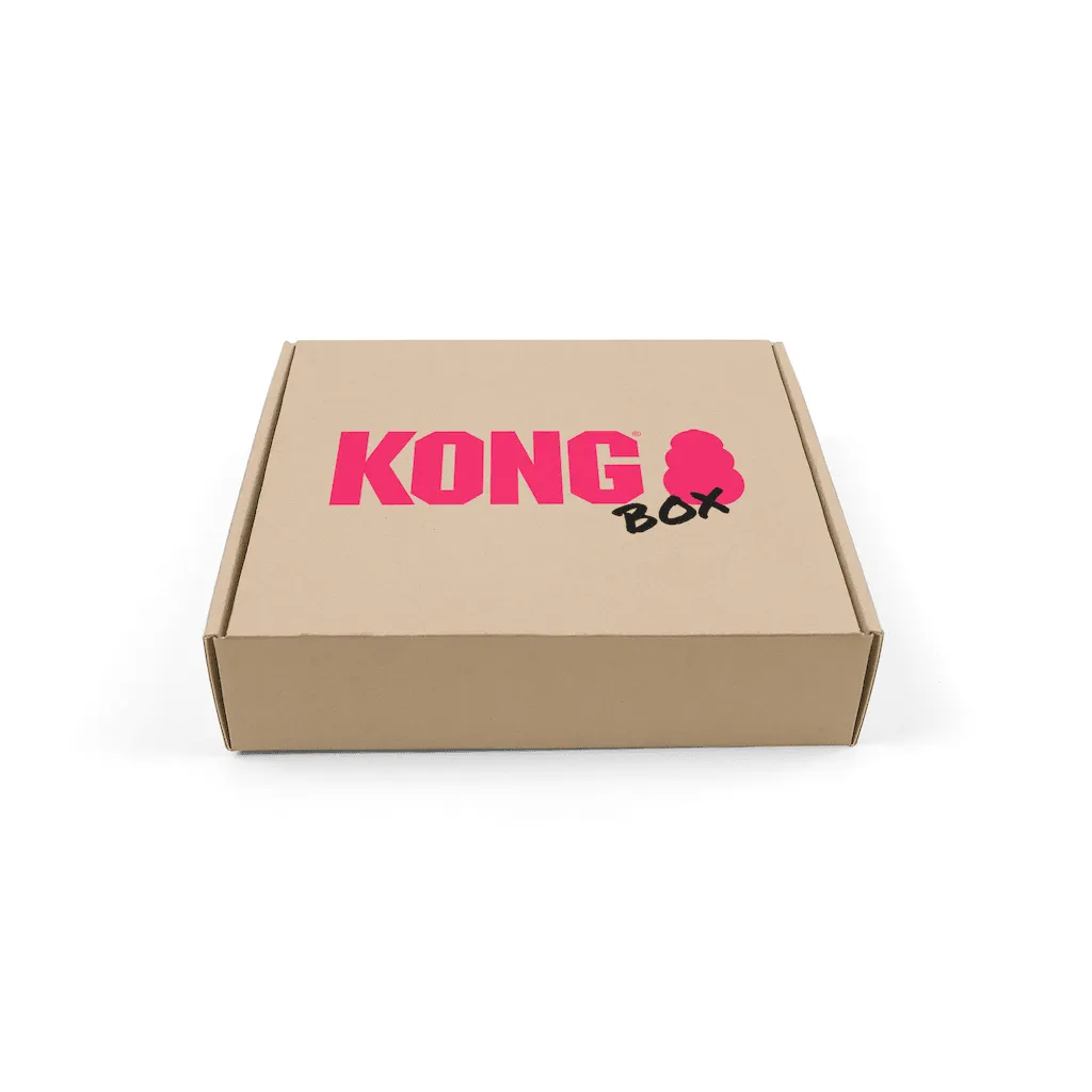 30% OFF: Kong Summer Fun Box