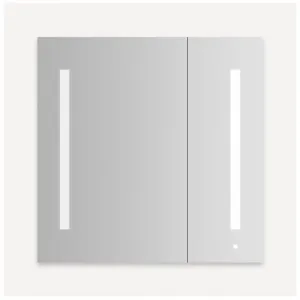 AiO Flat Mirror Two Door Cabinet