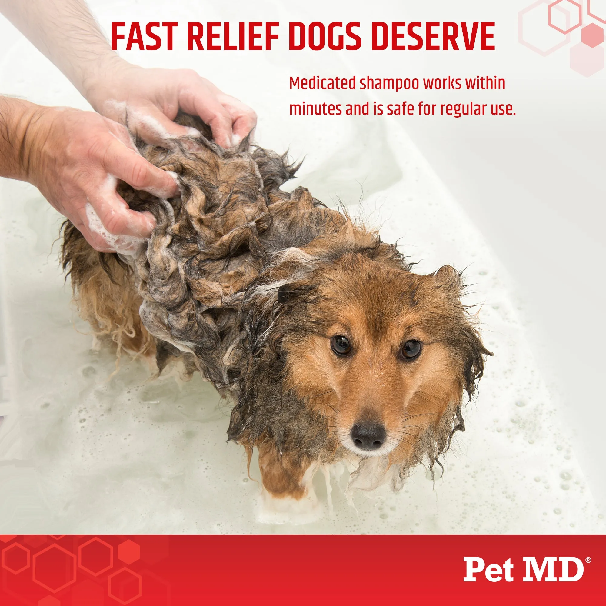 Antiseptic & Antifungal Medicated Shampoo for Dogs, Cats, & Horses - 8 oz