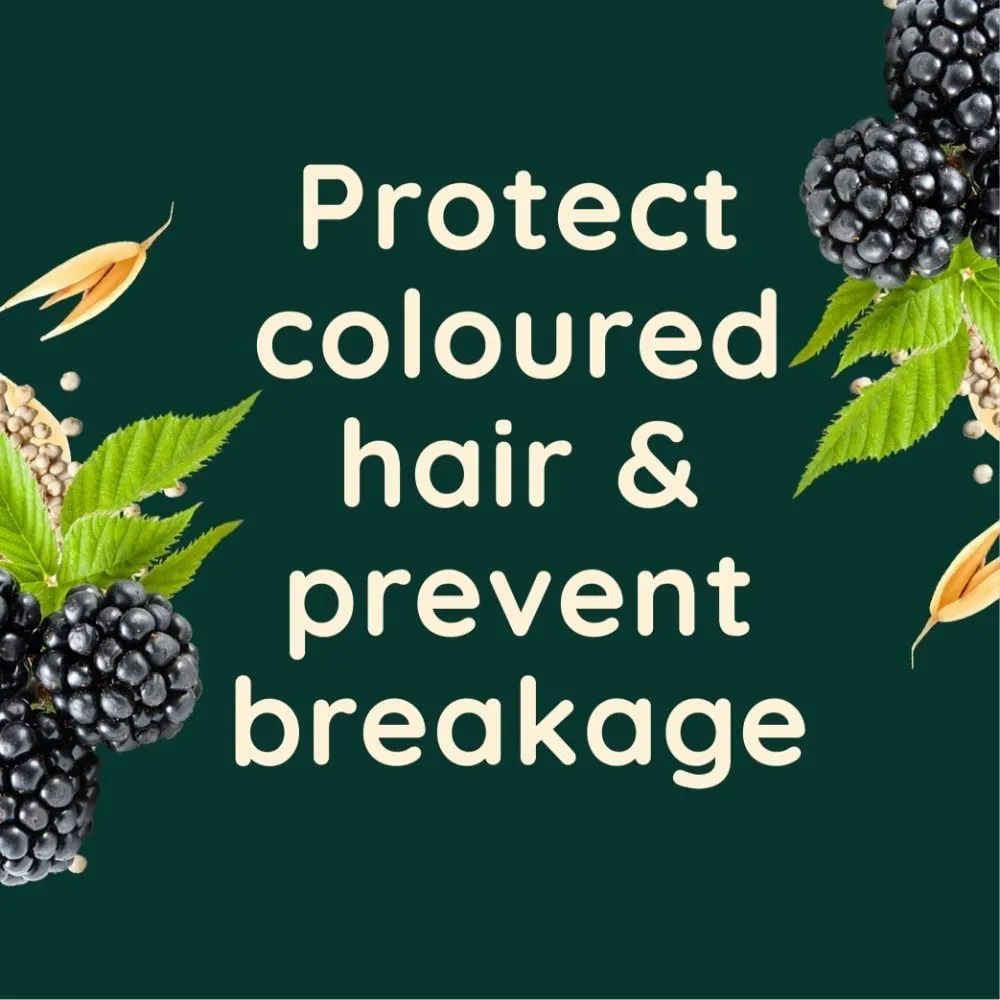 Aveeno Colour Protect  Blackberry & Quinoa Blend Shampoo & Conditioner Twin 2 x 300ml