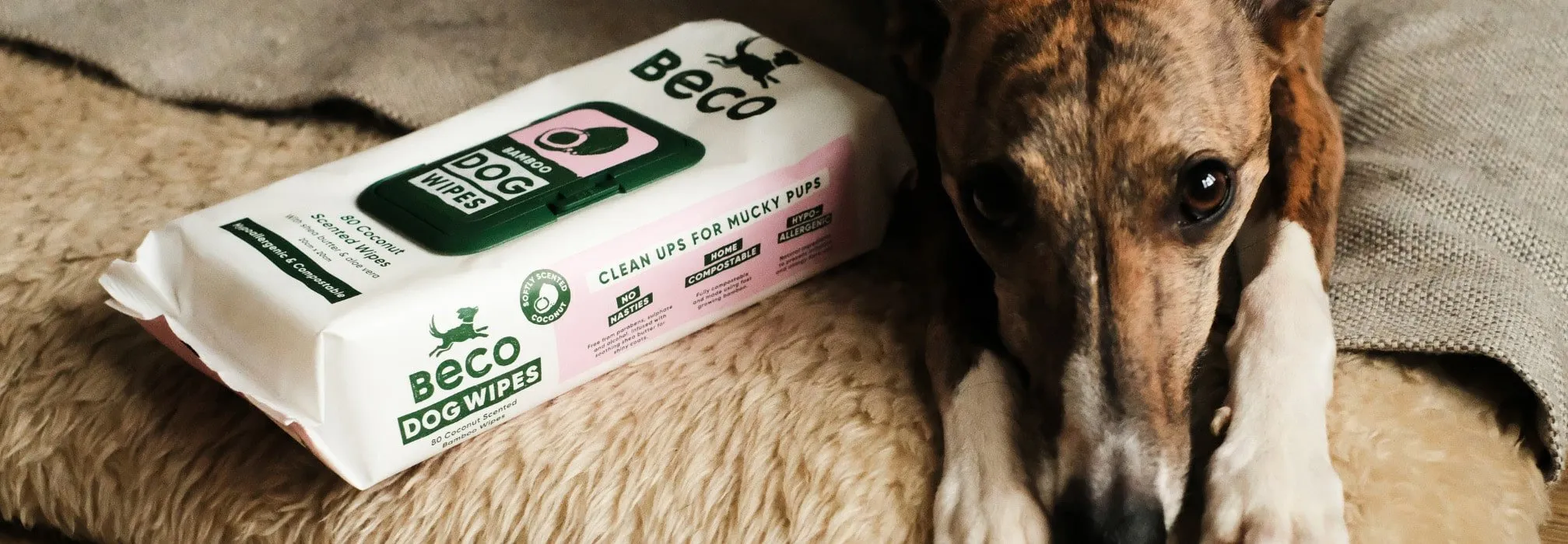 Bamboo Dog Wipes | Coconut Scented