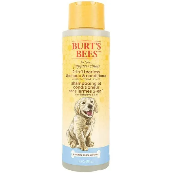 Burt's Bees Shampoo; 2 In 1 Tearless Shampoo & Conditioner