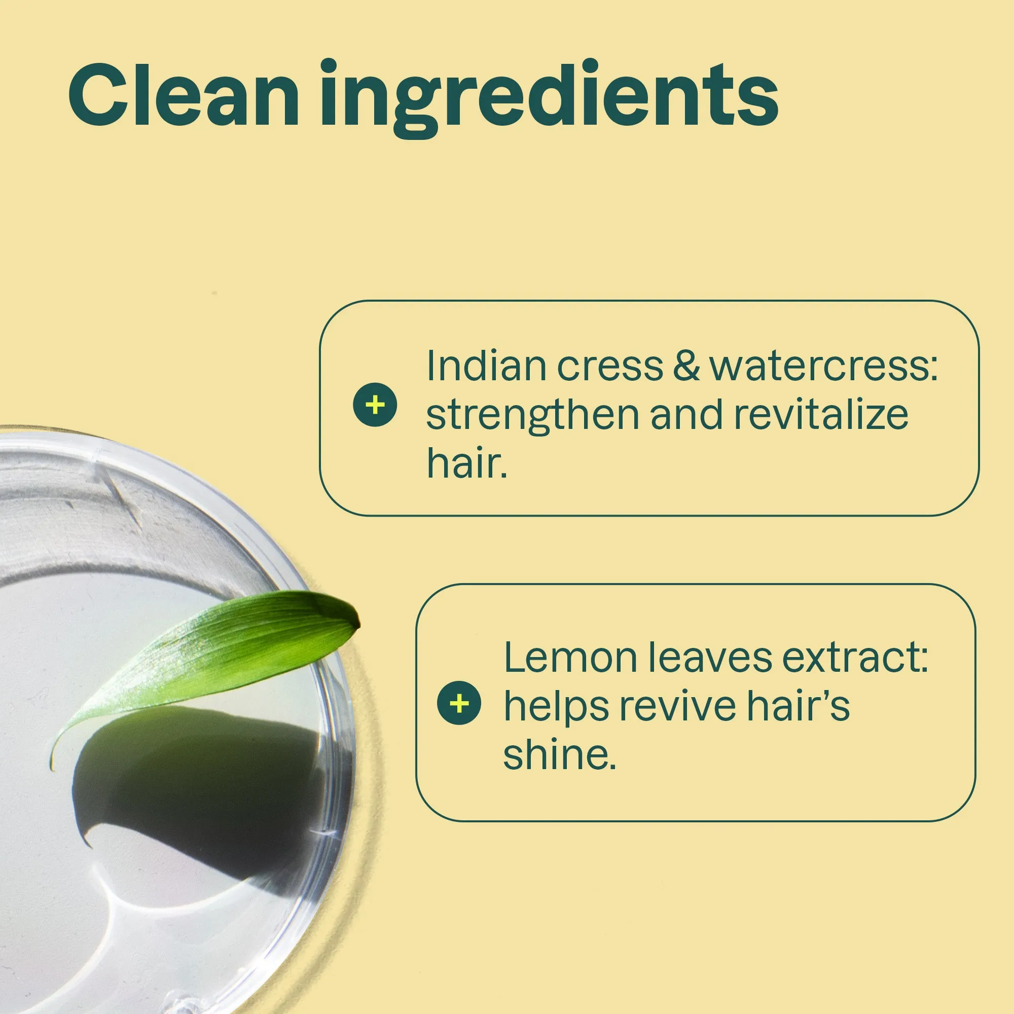 Clarifying conditioner : SUPER LEAVES™