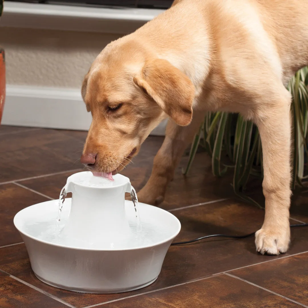 Drinkwell® Ceramic Avalon Pet Fountain