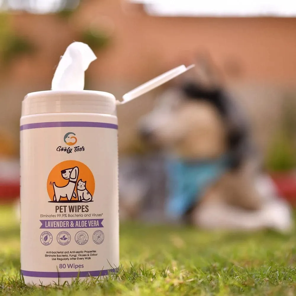 Goofy Tails Wipes for Dogs and Cats