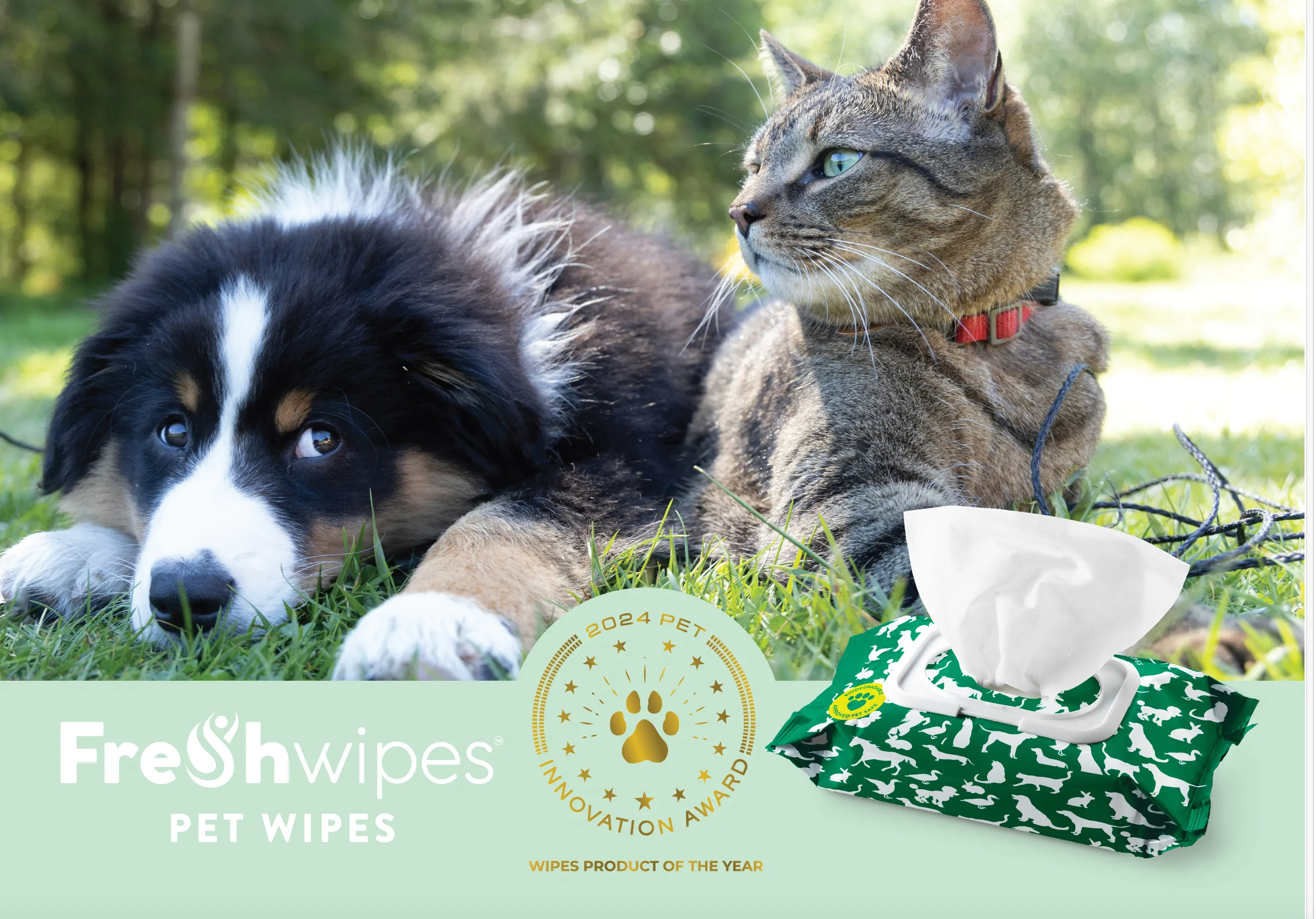 Pet Wipe Bundle (80 Wipes)