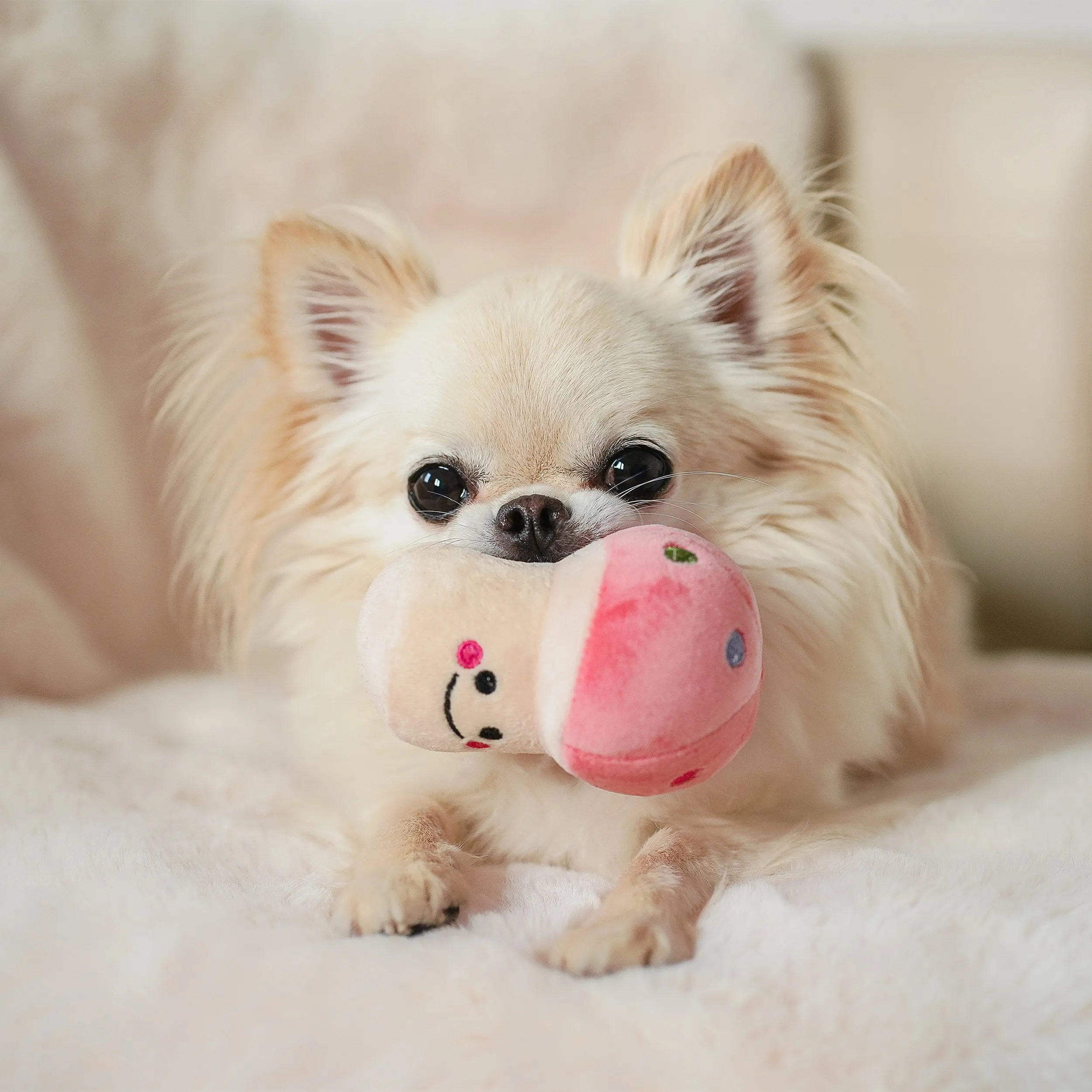 Plush Mushroom Squeaky Dog Toy