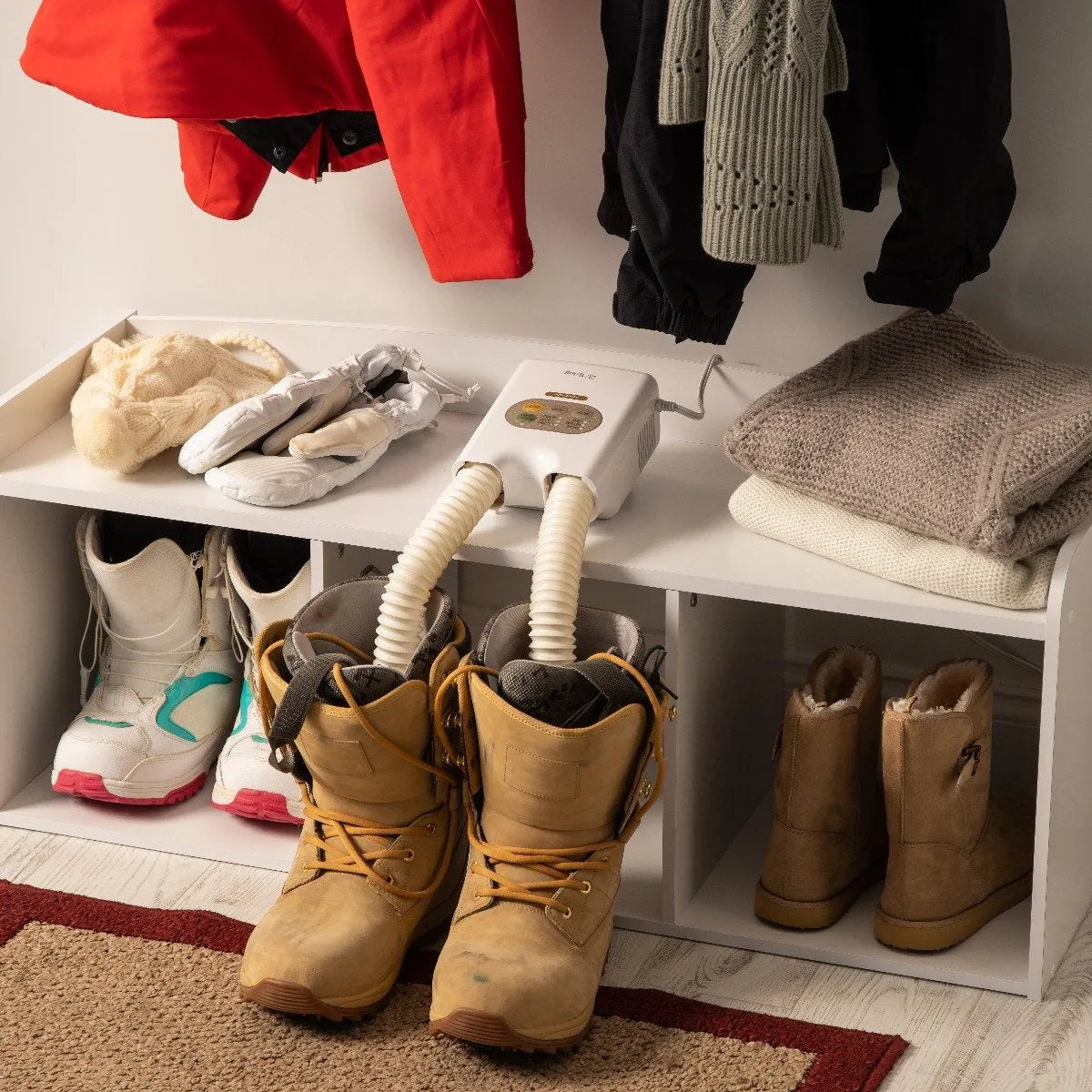 Shoe Dryer with Deodorizer