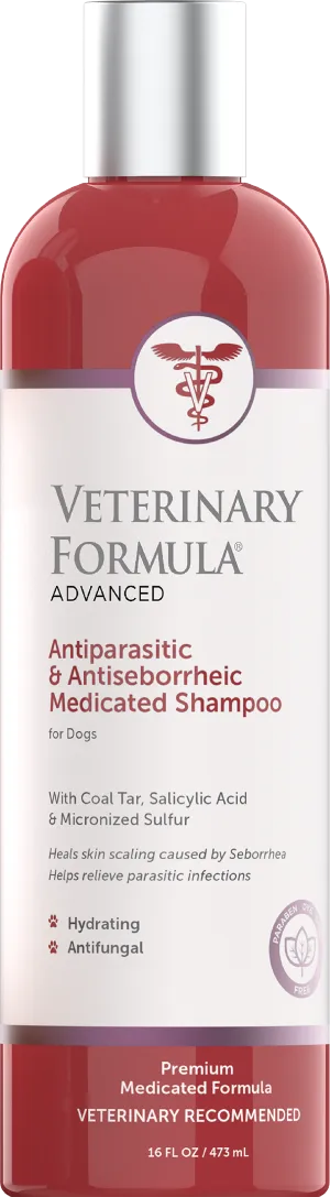 Synergy Labs Antiparasitic & Antiseborrheic Medicated Shampoo