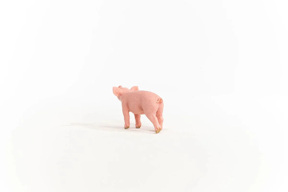 Toy | Piglet