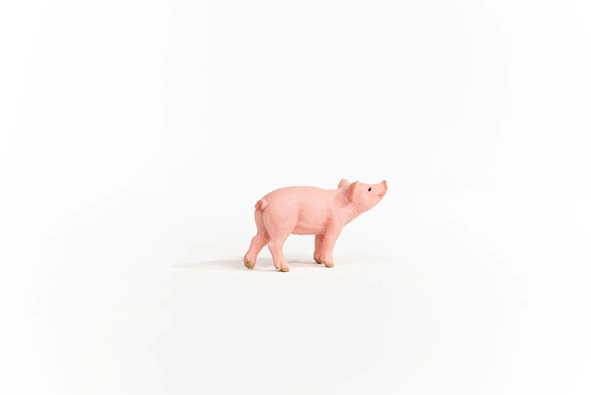 Toy | Piglet