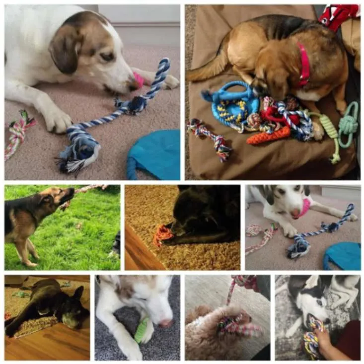 Unstoppable Fun: 12Pc Large Dog Toys Set for Aggressive Chewers!