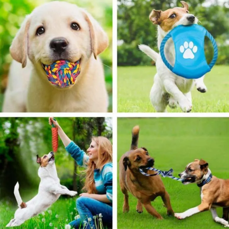 Unstoppable Fun: 12Pc Large Dog Toys Set for Aggressive Chewers!