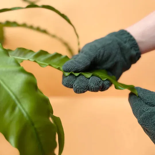 We The Wild | Leaf Cleaning Gloves